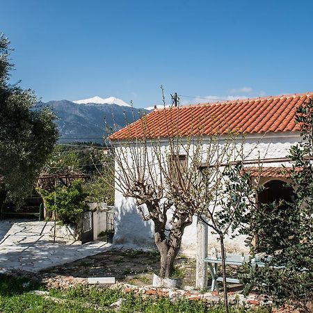 Traditional House Alikampos Exterior photo